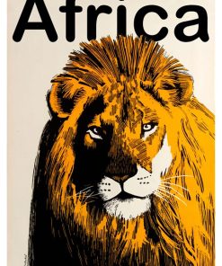 Africa, Lion, Cape Town, SA-73