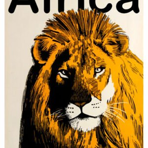 Africa, Lion, Cape Town, SA-73
