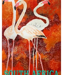 Africa, Flamingos, Cape Town, SA-75