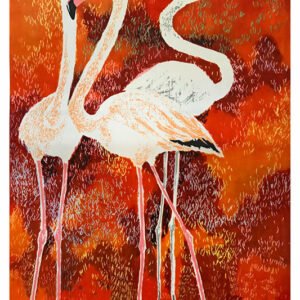 Africa, Flamingos, Cape Town, SA-75