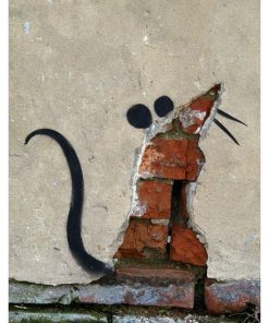 ''Banksy'' STR-25.