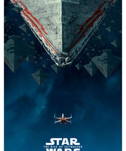 STAR WARS, The Rice of Skywallker, STW-148.