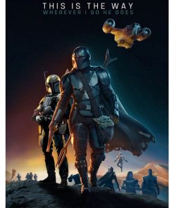 STW Mandalorian, Srs-341
