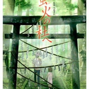 To the forest of firefly lights, TLS 313