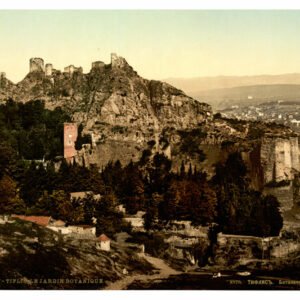 Georgia Vintage, Adv-300