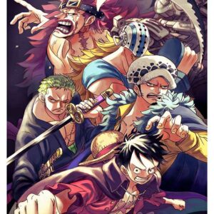 One Piece, Cmx-618