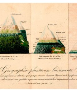 Old Map, Map-8