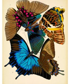 Vintage Nature, Natr-032