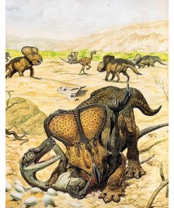 Vintage Dinosaur Art, Natr-036