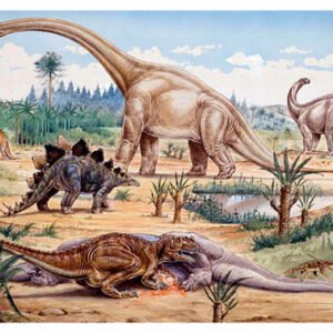 Vintage Dinosaur Art, Natr-037