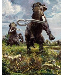 Vintage Dinosaur Art, Natr-038