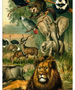 Vintage Nature, Natr-040