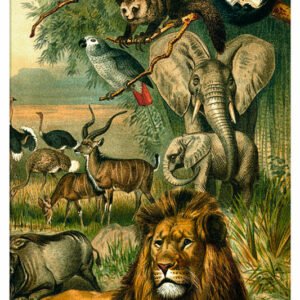 Vintage Nature, Natr-040