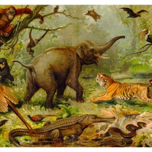 Vintage Nature, Natr-041