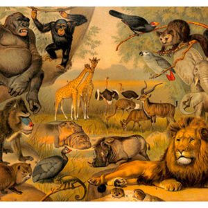 Vintage Nature, Natr-043