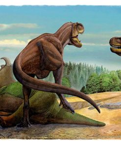 Vintage Dinosaur Art, Natr-062