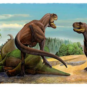 Vintage Dinosaur Art, Natr-062