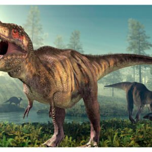 Vintage Dinosaur Art, Natr-063