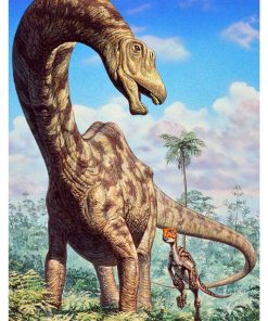 Vintage Dinosaur Art, Natr-064