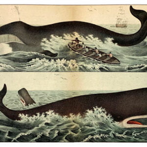 Vintage Nature, Natr-066