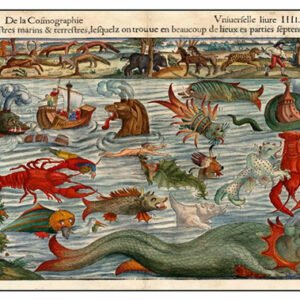 Vintage Nature, Natr-067