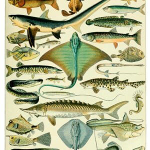 Vintage Nature, Natr-069