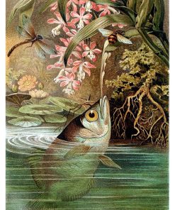 Vintage Nature, Natr-075