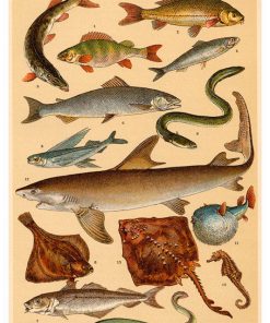 Vintage Nature, Natr-078