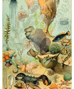 Vintage Nature, Natr-082