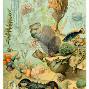 Vintage Nature, Natr-082