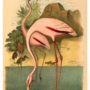 Vintage Nature, Natr-093