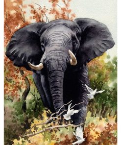 Vintage Nature, Natr-057