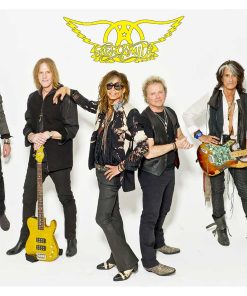 Aerosmith, Mus-541