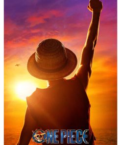 One Piece, Cmx-802
