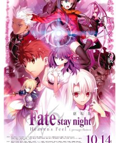 Fate Stay Night, Cmx-855