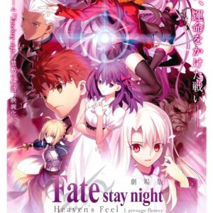 Fate Stay Night, Cmx-855