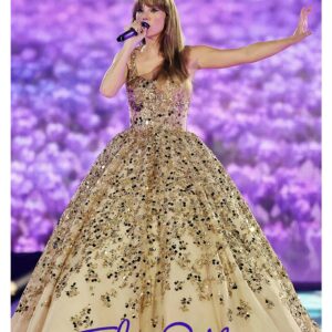 Taylor Swift, Mus-582