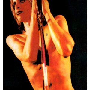 Iggy and The Stooges , Mus-625