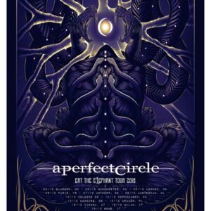 A Perfect Circle, Mus-637