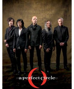 A Perfect Circle, Mus-638
