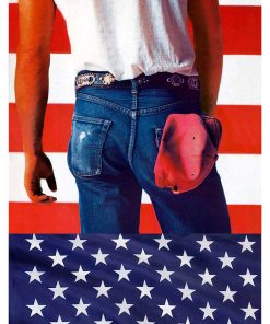 Bruce Springsteen, Mus-659