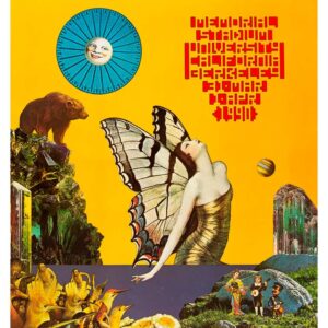 Paul McCartney, Mus-664