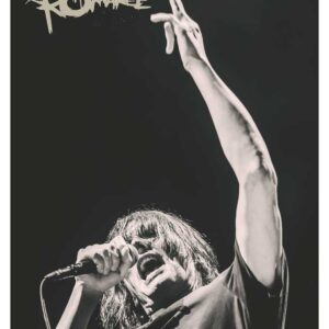 My Chemical Romance, Mus-729