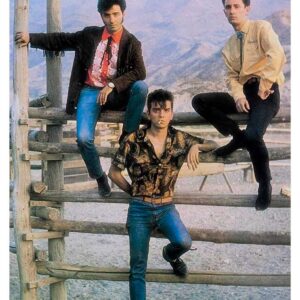 Gabinete Caligari, Mus-809