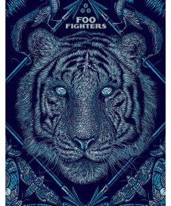 Foo Fighters, Mus-872
